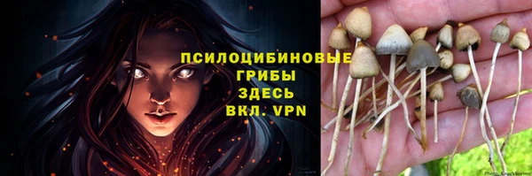 apvp Лабытнанги