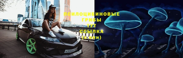 ГАЛЛЮЦИНОГЕННЫЕ ГРИБЫ Ладушкин