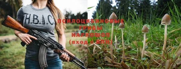 СК Липки