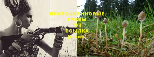 СК Липки